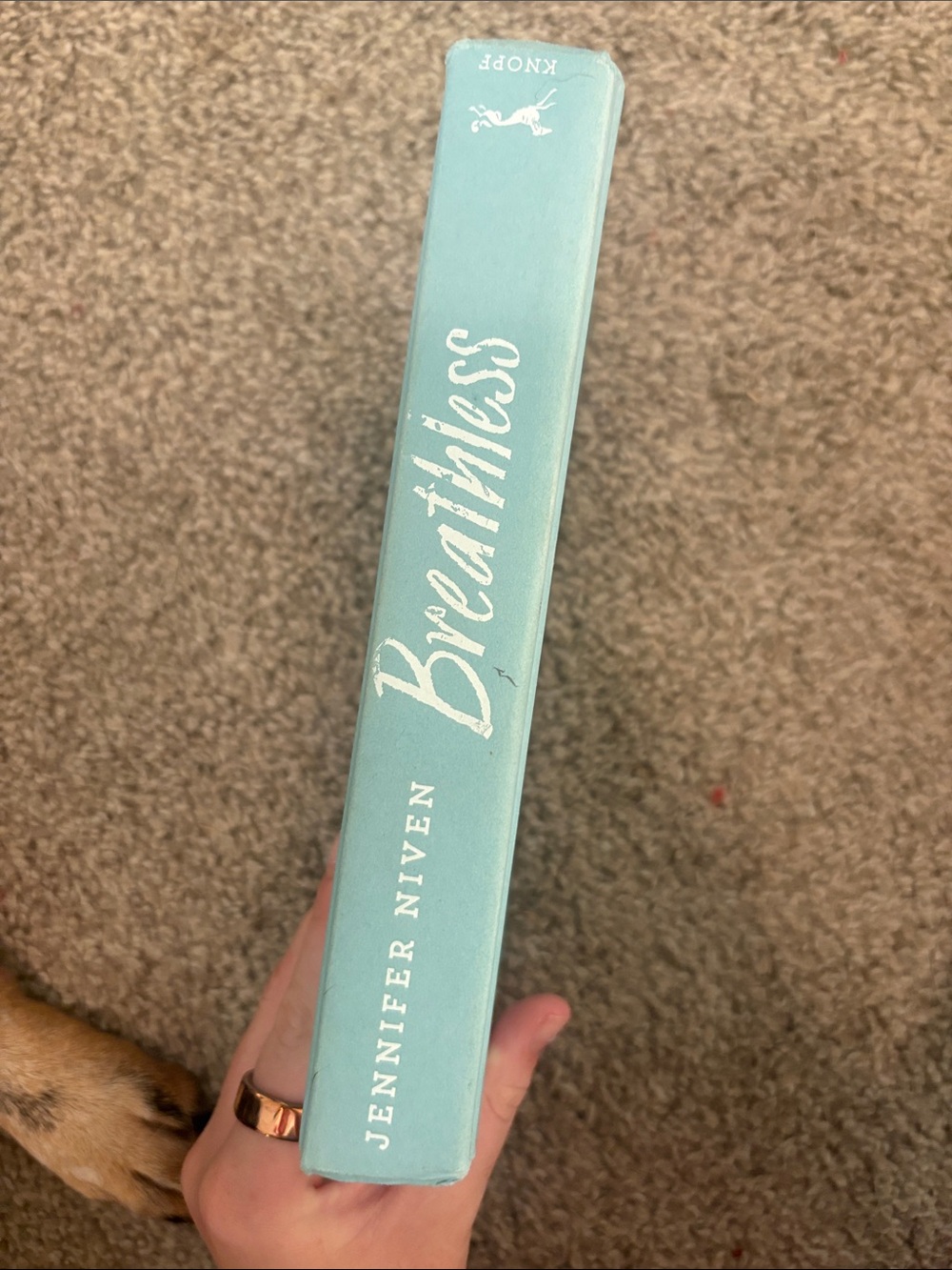 Breathless by Jennifer Niven - Aqua Hardcover Spine